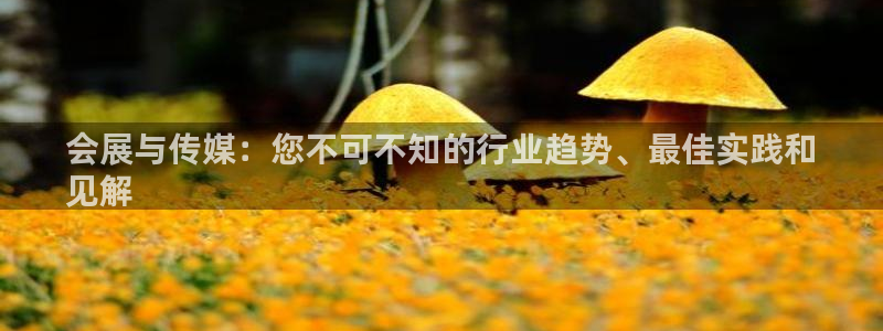 果博手机下载网址：会展与传媒：您不可不知