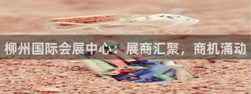 果博公司游戏网址：柳州国际会展中心：展商