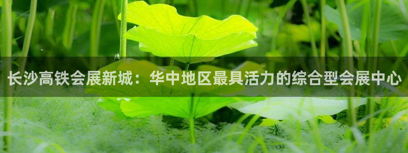 果博平台真实吗安全吗可信吗是真的吗：长沙