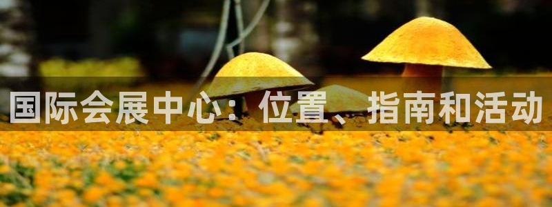 果博公司会员注册：国际会展中心：位置、指南和活动