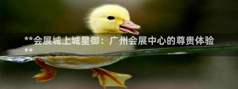 果搏代理