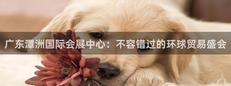 果博官网首页：广东潭洲国际会展中心：不容错过的环球贸易盛会