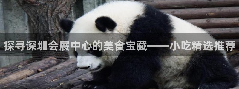 手机怎样下载果博：探寻深圳会展中心的美食
