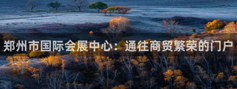 果博平台赖不赖：郑州市国际会展中心：通往商贸繁荣的