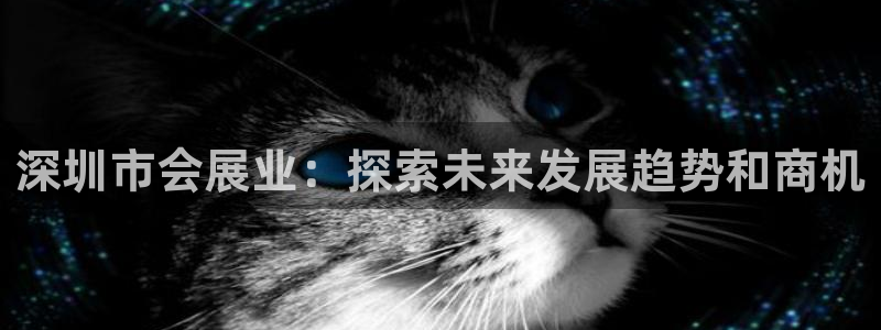 果博怎么注册账号：深圳市会展业：探索未来发展趋势和商机