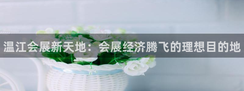 果博注册客服电话是多少啊：温江会展新天地：会展经济
